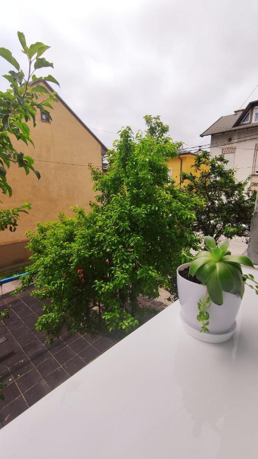 Mona Blue Apartment Sarajevo Exterior photo